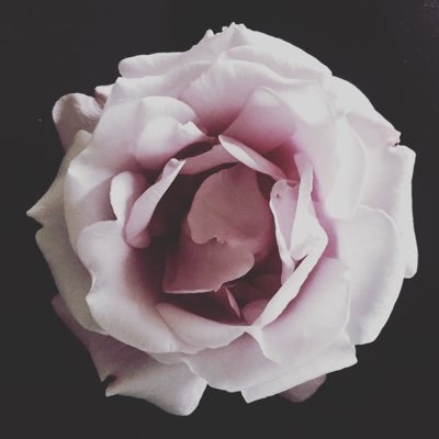theonlymissyfl1's profile picture. Creative Consultation & Project Management