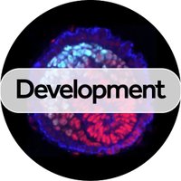 Development(@Dev_journal) 's Twitter Profile Photo