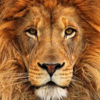 hunter026026 (@hunter026026) 's Twitter Profile