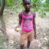 JOHNSON DANKWA (@thomaspartey5) 's Twitter Profile