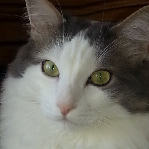 Eblabla13's profile picture. 