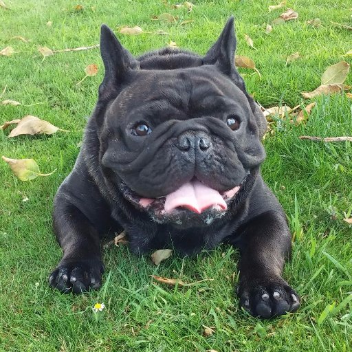 FranSantSol's profile picture. Santander-Coruña