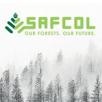 SAFCOL(@SAFCOL_SOC) 's Twitter Profile Photo