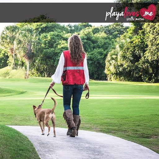 Dog Walkers, Trainers WEAR the versatile #EZDogWalkersVest to carry everything hands-free. Multiple size pockets, reflective strips, clips, Red or Black & more.