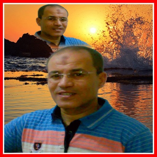 GamalSarkes's profile picture. 