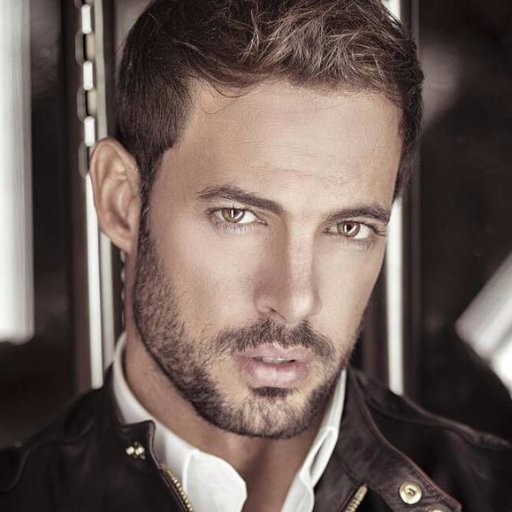 We are hungarian girls.Our favorite actor William Levy @willylevy29 .He is a great actor & he is the most wonderful person in the world.