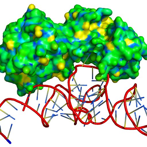 NPDock (Nucleic acid-Protein Dock) is a web server for modeling of RNA-protein and DNA-protein complex structures.