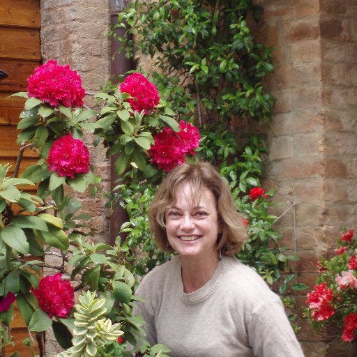 Soy Sonia García, doctora en Medicina. Ambiciono un mundo mejor, justo, con respeto y paz. Además alegría que da vida. Expreso ideas y sentimientos.