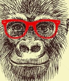 Oxymoron. Geek. Outdoorsman. Intro-extrovert. Secuity monkey.