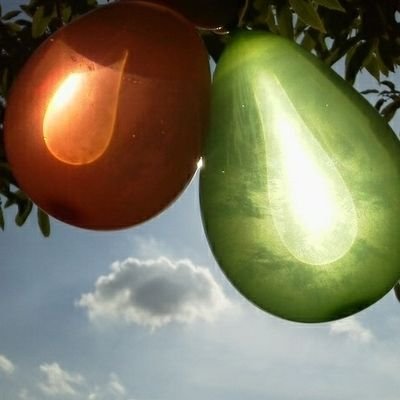 koyomimayo10101's profile picture. よろしくお願いします。ほとんど取引垢になってます。 20↑刀剣、本好き 取引垢不安な方はリア垢公開可能です　DM解放中