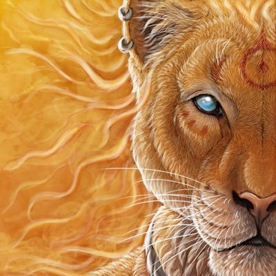 Android4441's profile picture. 