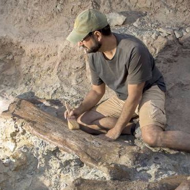 FerEscaso's profile picture. Paleontólogo de campo sobre todo ("mientras me aguanten los huesos"). Docente e investigador del Grupo de Biología Evolutiva de la Facultad de Ciencias UNED.