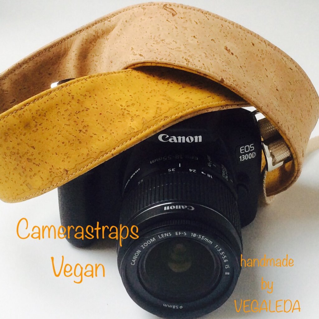 vegandogthings's profile picture. 