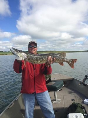 AndyGraykowski's profile picture. 