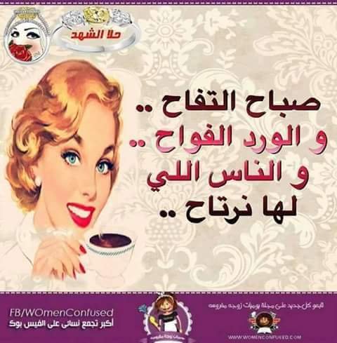 Bobr65716381's profile picture. 