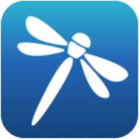 Dragonfly (@trydragonfly) 's Twitter Profile Photo Dragonfly (@trydragonfly) 's Twitter Profile Photo