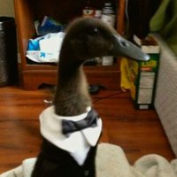 BakioN (@bakon) 's Twitter Profile