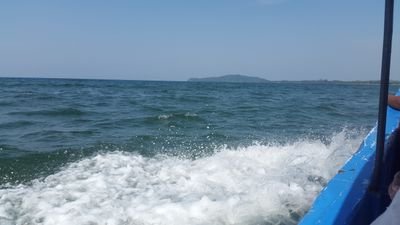 PKwiad's profile picture. 