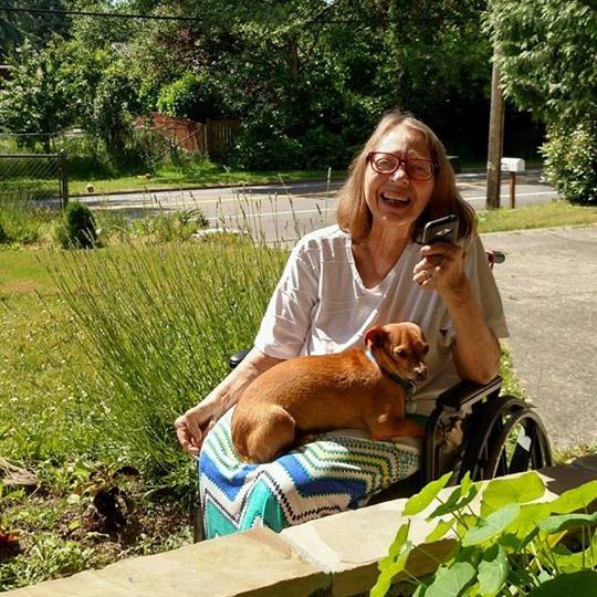 I am a wheelchair traveler and my mission is universal accessibility. Spreading the word with a sense of humor.