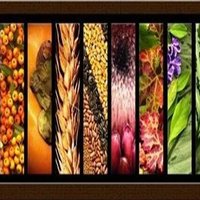 Fusarium Lab (@labfusarium) 's Twitter Profile