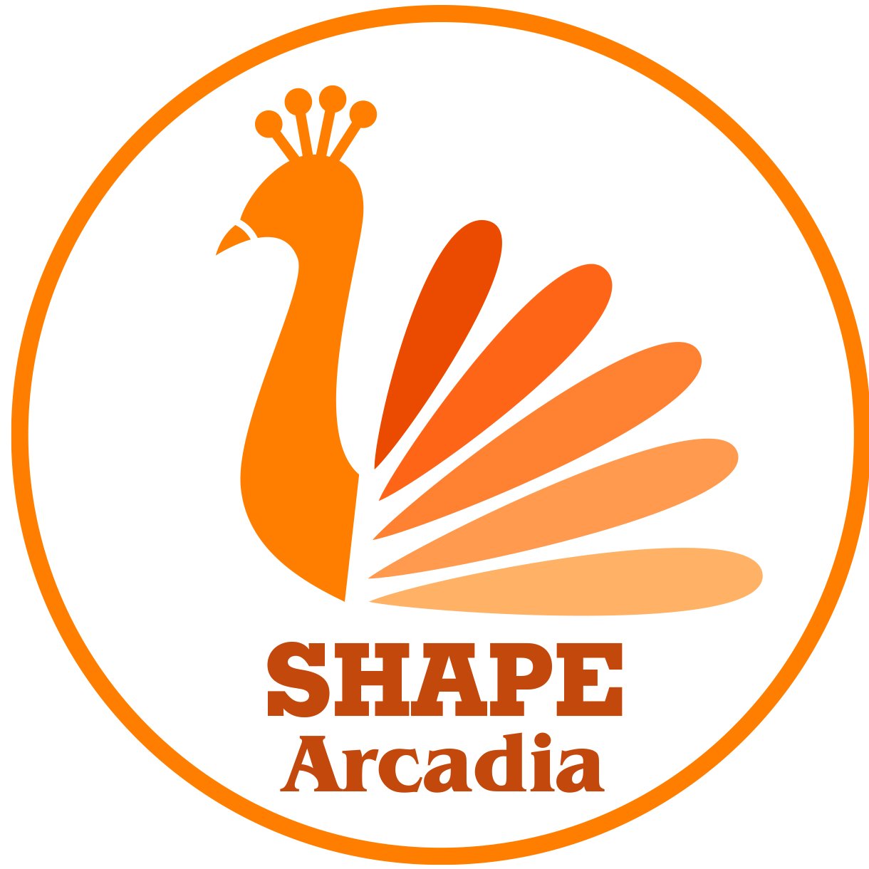 ShapeArcadia Profile Picture