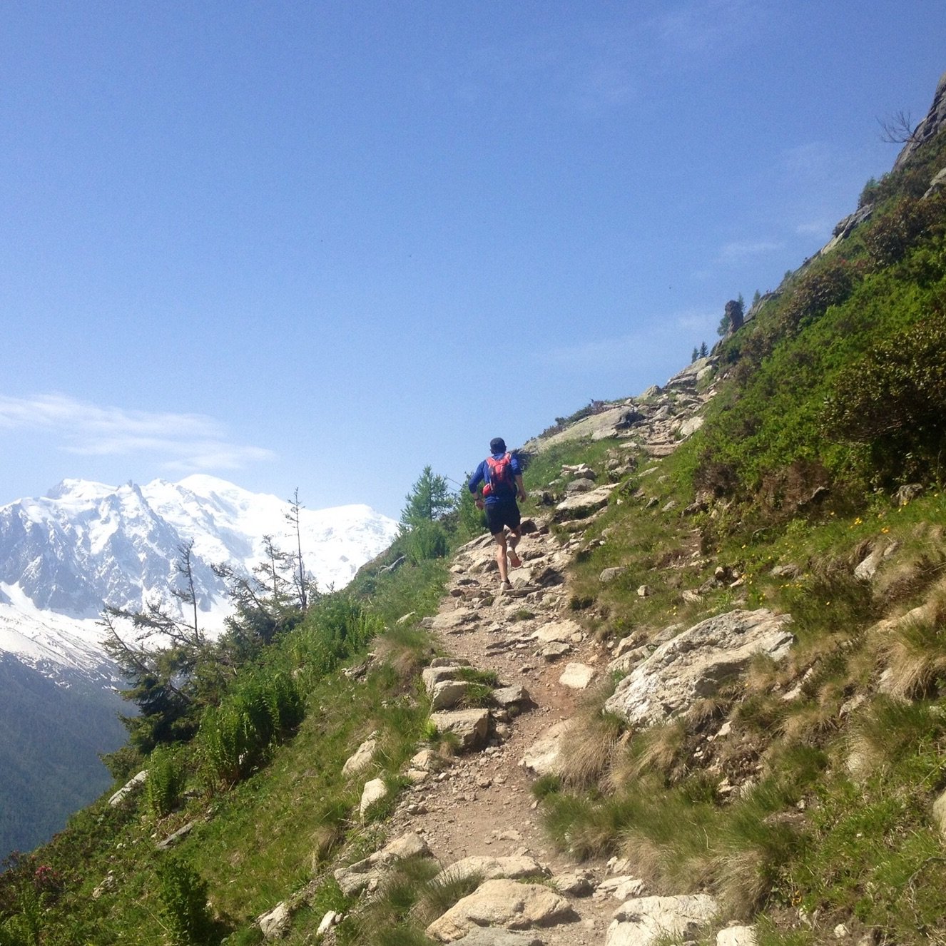 vasse's profile picture. 