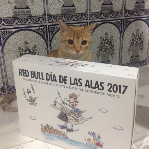 Somos 4 aficcionados a la aviación desde que eramos niños, y una piloto que quiere iniciarse en ese mundo.
#DiaDeLasAlas #cortaleñamauricio #yvoló