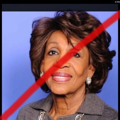 gogotrump's profile picture. Censorship is unAmerican   #AmericaFirst