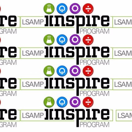 Iowa Illinois Nebraska STEM Partnership for Innovation in Research & Education (IINSPIRE) of the NSF Louis Stokes Alliance for Minority Participation (LSAMP).