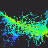 Columbia PSOC (@columbiapsoc) 's Twitter Profile