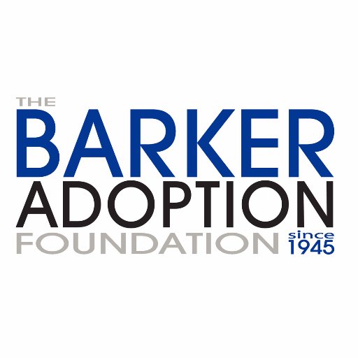 Nonprofit child-centered adoption agency providing pregnancy counseling, adoption & post-adoption services. 
24/7 Pregnancy Hotline: 888-731-6601