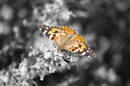 Perspectography's profile picture. available for all types of portraits, editorial projects, events, still life projects, and numerous other photography projects.