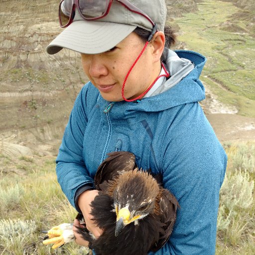 Wildlife biologist, birds birds birds, but mostly raptors, shorebirds, & waterbirds. Promises that only 10% of posts will be dog-related. She/her. Tweets my own