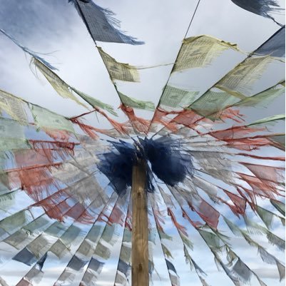 HollyBrunton1's profile picture. 