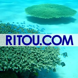 ritoucom Profile Picture