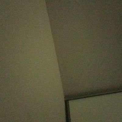 skfy455's profile picture. 