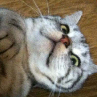 mkw8414's profile picture. 1984.04.14 みん みんみん みん太郎 min 민 밍밍 민경원