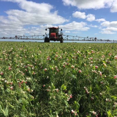 zweckn's profile picture. Works in Precision Ag