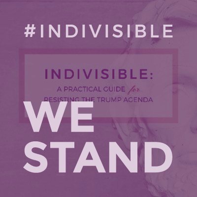 New Indivisible combined chapter of VA-10, Ashburn/Sterling, Lovettsville, and Winchester chapters. #Resistance