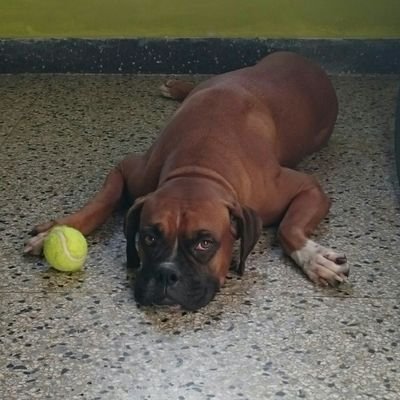 miguelm_22's profile picture. 