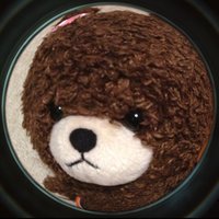 sayurin🌈 (@mms_111) 's Twitter Profile