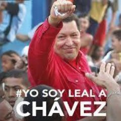 Profesion Barbero, Luchador Social Bolivariano, Comerciante Independiente y militante activo del PSUV,