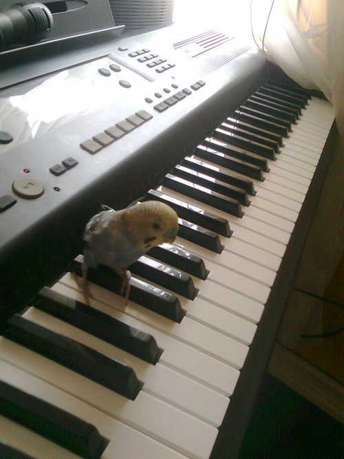 carlosmendezg's profile picture. En proceso...