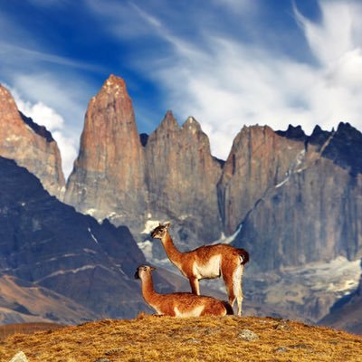 LibreVolador's profile picture. Quédate con quien te invita a poner sellos en tu pasaporte. #Librevolador #LATAM #DimeSiSonLatino