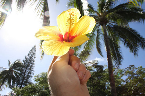 loveFooling's profile picture. 