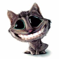 Vikki #FlickTheUN (@scruffbucket) 's Twitter Profile