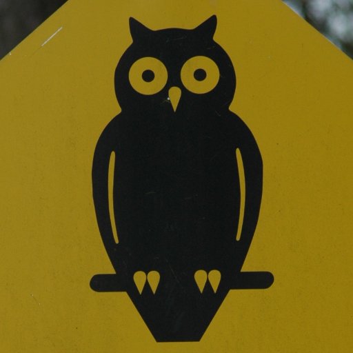 NevsNamalk's profile picture. 