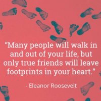 Yshereiqi (@yshereiqi) Twitter profile photo