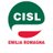 cisl_er