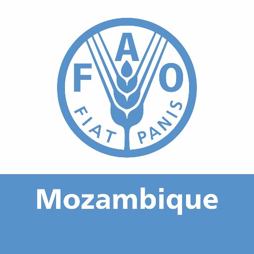 Follow us for latest news from the Food and Agriculture Organization of the United Nations (@FAO) in Mozambique. Follow our Director General @FAODG.